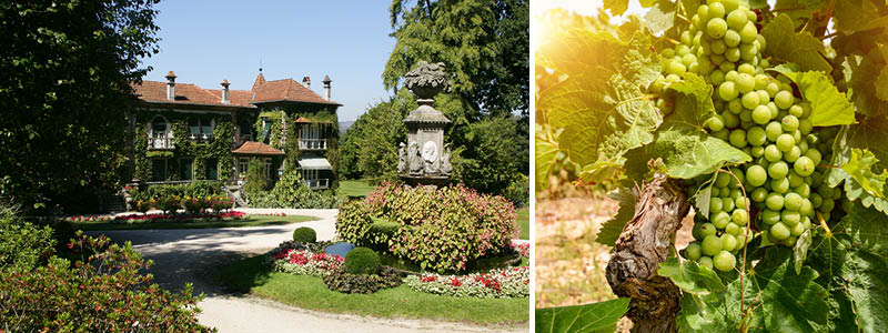 Vingrden, Quinta da Aveleda i Portugal